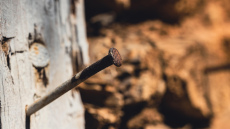 Kāpēc mūsu vecmāmiņas ieraka nagu puķupodā - aizmirsts noslēpums, kas atmodina pat iznīkušu augus