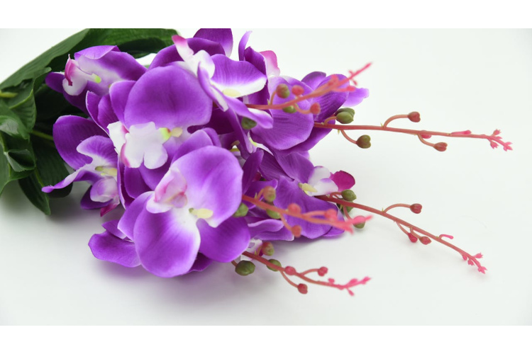 Orhidejas var krāšņi ziedēt arī ziemā, ja telpaugu īpašnieki veic vienkāršu piecu minūšu uzdevumu