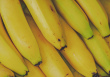 Dārznieki aicināti savā dārzā likt banānu mizas
