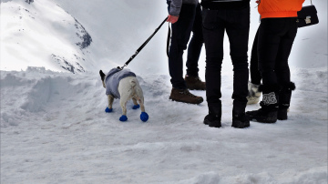 Kā padarīt apavu zoles mazāk slidenas: 4 pārbaudīti paņēmieni