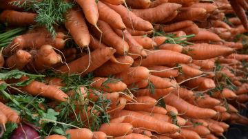 Lūk, kāpēc burkāni sapūst dažu nedēļu laikā: vienkārši mainiet to uzglabāšanas veidu