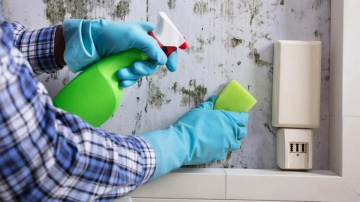 Divi galvenie soļi, lai atbrīvotos no pelējuma un pasargātu sienas