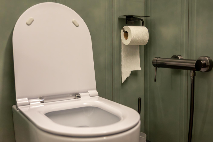 Paštaisīta pasta tualetes kopšanai: divu sastāvdaļu metode kaļķakmens un aplikuma likvidēšanai