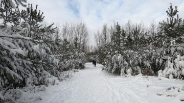 Trusim – romantika un mīlestība, Pērtiķim – sasniegumi karjerā: ķīniešu horoskops 2026. gada februārim