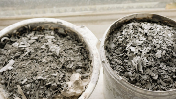 Vairāk kaitējuma nekā labuma: kuri augi cieš no mēslošanas ar pelniem