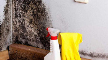 Vienkāršs virtuves produkts, kas palīdz ierobežot pelējuma izplatību mājoklī