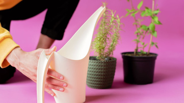 5 istabas augi, kuriem nepatīk krāna ūdens un kādu ūdeni izvēlēties