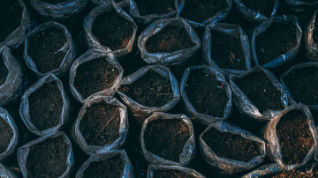 Dabiskas metodes augsnes uzlabošanai un sagatavošanai sējas darbiem