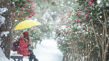Horoskops 22. februārim: Vēzim - nepatikšanas, Vērsim - svarīgs darījums