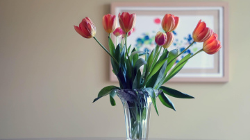 Pievienojiet šīs sastāvdaļas vāzei, lai ziedi stāvētu nedēļu ilgāk