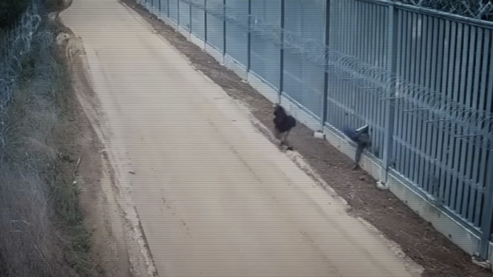 Uz Polijas robežas ar Baltkrieviju atklāti 4 profesionāli izbūvēti tuneļi