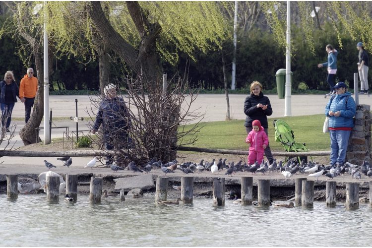 Kā sagatavoties 2026. gada pavasarim, pamatojoties uz jūsu zodiaka zīmi