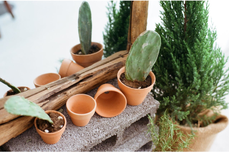 Ko darīt ar saplīsušiem podiem: septiņas atjautīgas idejas dārzam