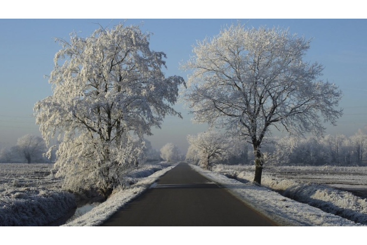 Sniegputeni nomainīs bargs sals: Brīvdienu naktīs temperatūra noslīdēs līdz -28 grādiem