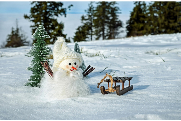 Horoskops 21. februārim: Lauvai - vilšanās, Ūdensvīram – laime