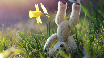 Siltuma rekordi Latgalē un pavasarīgi laikapstākļi visā Latvijā