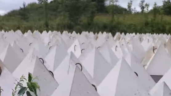 NBS sāk izvietot aizsardzības šķēršļus Balvu novada pierobežā