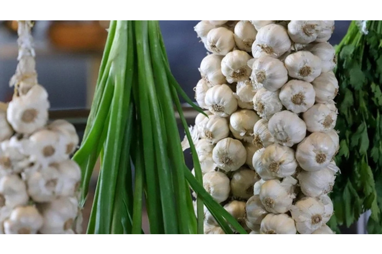 Kultūraugu rotācija pēc ķiploku audzēšanas: kā plānot dārza darbus nākamajai sezonai