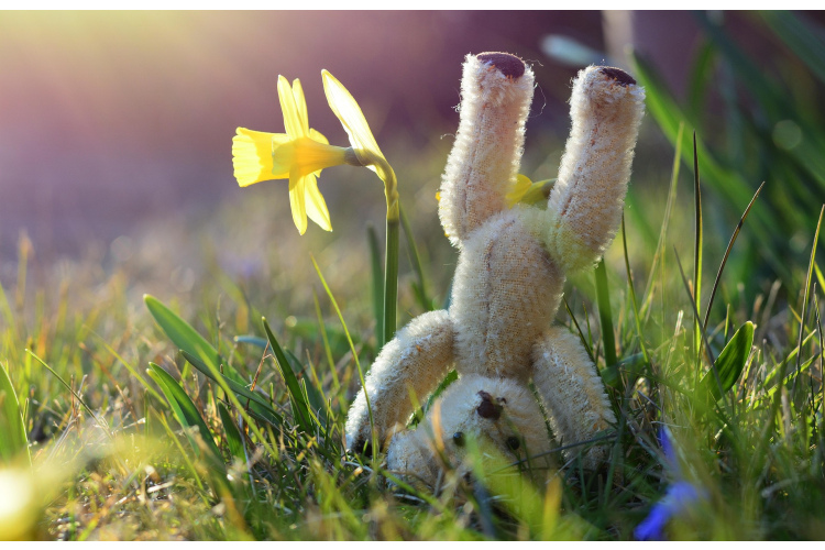 Siltuma rekordi Latgalē un pavasarīgi laikapstākļi visā Latvijā