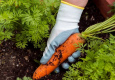 Praktiski padomi dārza darbiem aprīlī: ko sēt un stādīt agrākai ražai