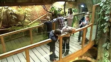 Vēsturiska diena zoodārzā: apmeklētāju plūsma trīskāršojusi iepriekšējos rekordus