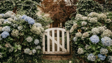 Ko dārzā apgriezt aprīlī: augi, kuriem pavasara kopšana ir izšķiroša