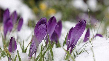 Mainīgi laikapstākļi aprīļa beigās: gaidāms lietus, krusa un sniegs