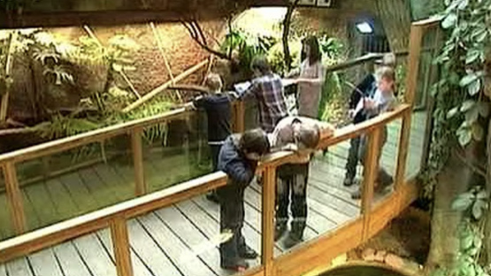 Vēsturiska diena zoodārzā: apmeklētāju plūsma trīskāršojusi iepriekšējos rekordus