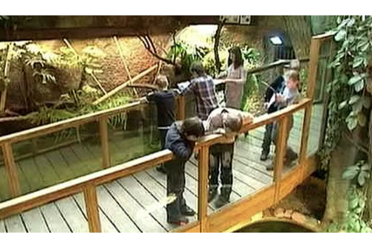 Vēsturiska diena zoodārzā: apmeklētāju plūsma trīskāršojusi iepriekšējos rekordus