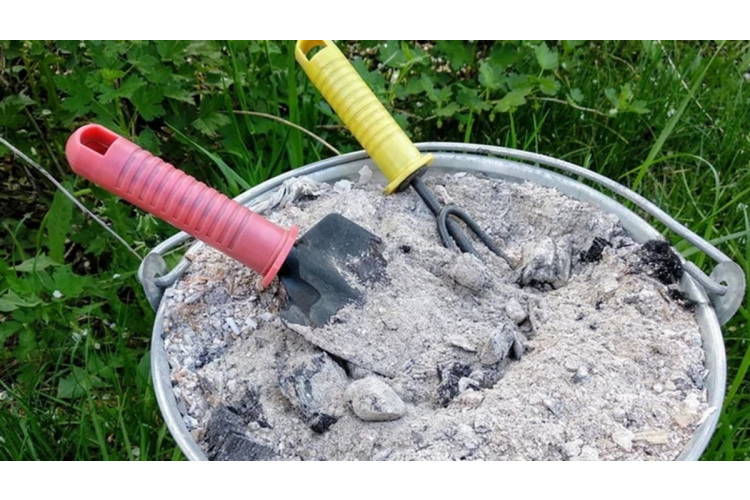 Sodas un pelnu maisījuma slēptais spēks: Palīgs cīņā ar kaitēkļiem un kaitēm