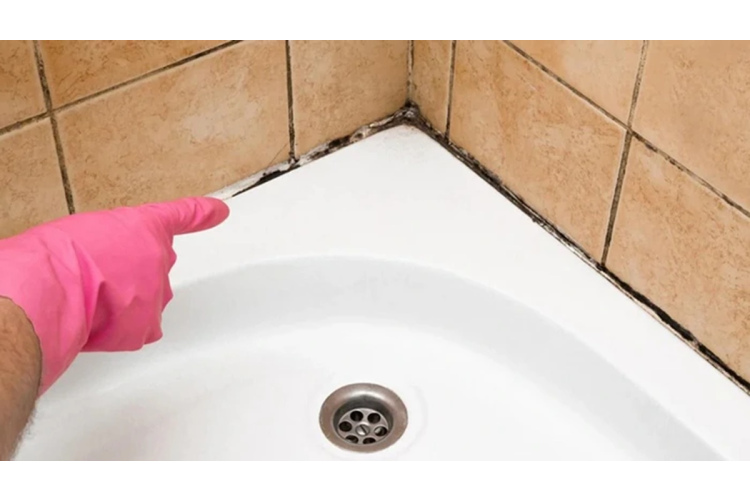 Pārbaudīti veidi, kā notīrīt melnos pelējuma pleķus dušas zonā un ap vannu