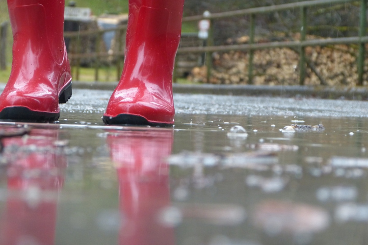 Laikapstākļu prognoze nedēļas nogalei: gaidāms brāzmains vējš un nokrišņi