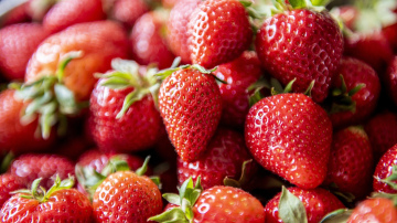 6 soļi, kā dārzā izaudzēt saldas un aromātiskas zemenes
