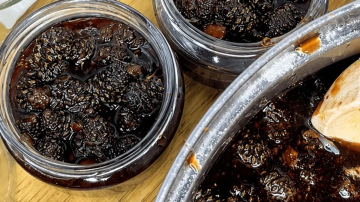 Meža aromāts burciņā – zaļo priežu čiekuru ievārījuma pagatavošana
